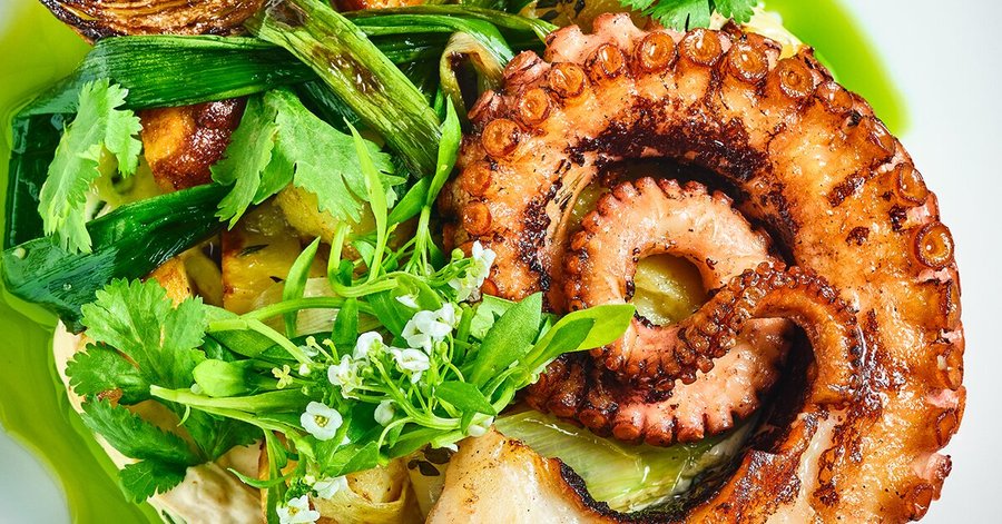 Octopus