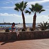 reyes_ginesta