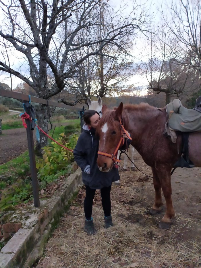 Imagen 2 de Gredos Ecuestre