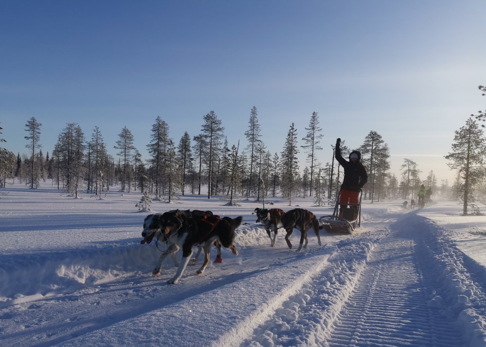 THE 10 BEST Things to Do in Kittilä (UPDATED 2024) - Tripadvisor