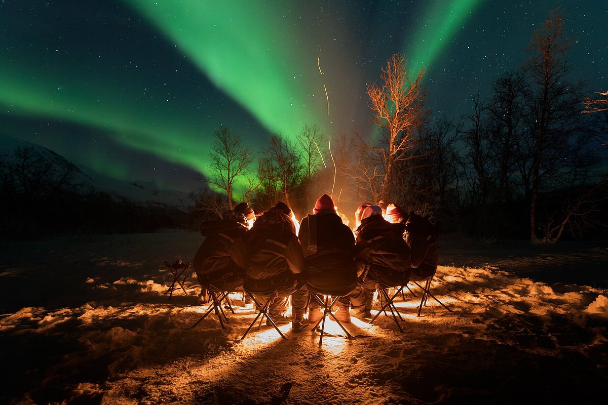 Enjoy the Arctic, Тромсё: лучшие советы перед посещением - Tripadvisor