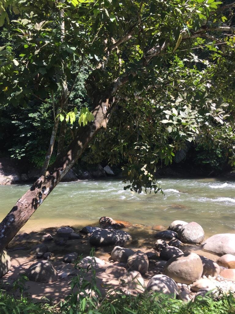 RIVERSIDE CAMP - Campground Reviews (Gopeng, Malaysia) RIVERSIDE CAMP -  Campground Reviews (Gopeng, Malaysia)