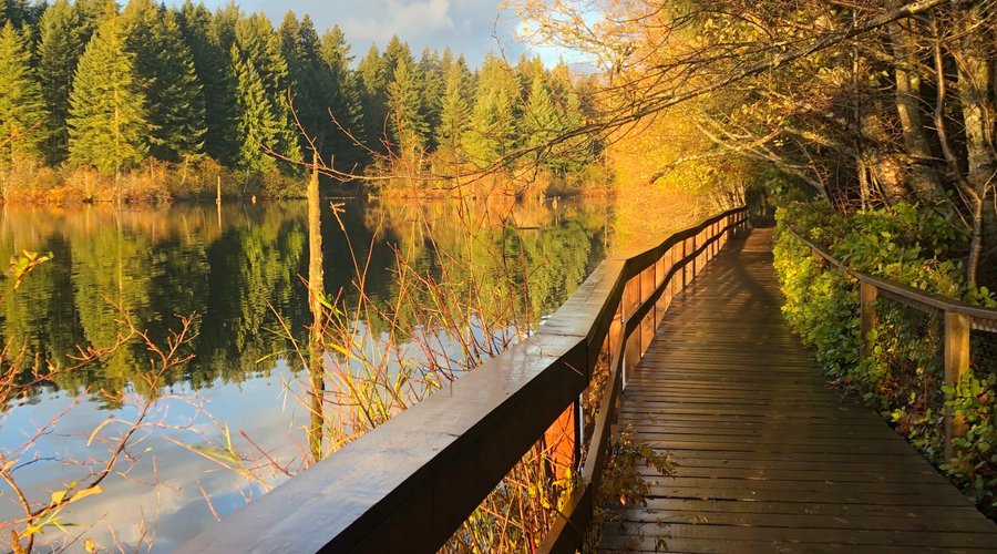 Westwood lake