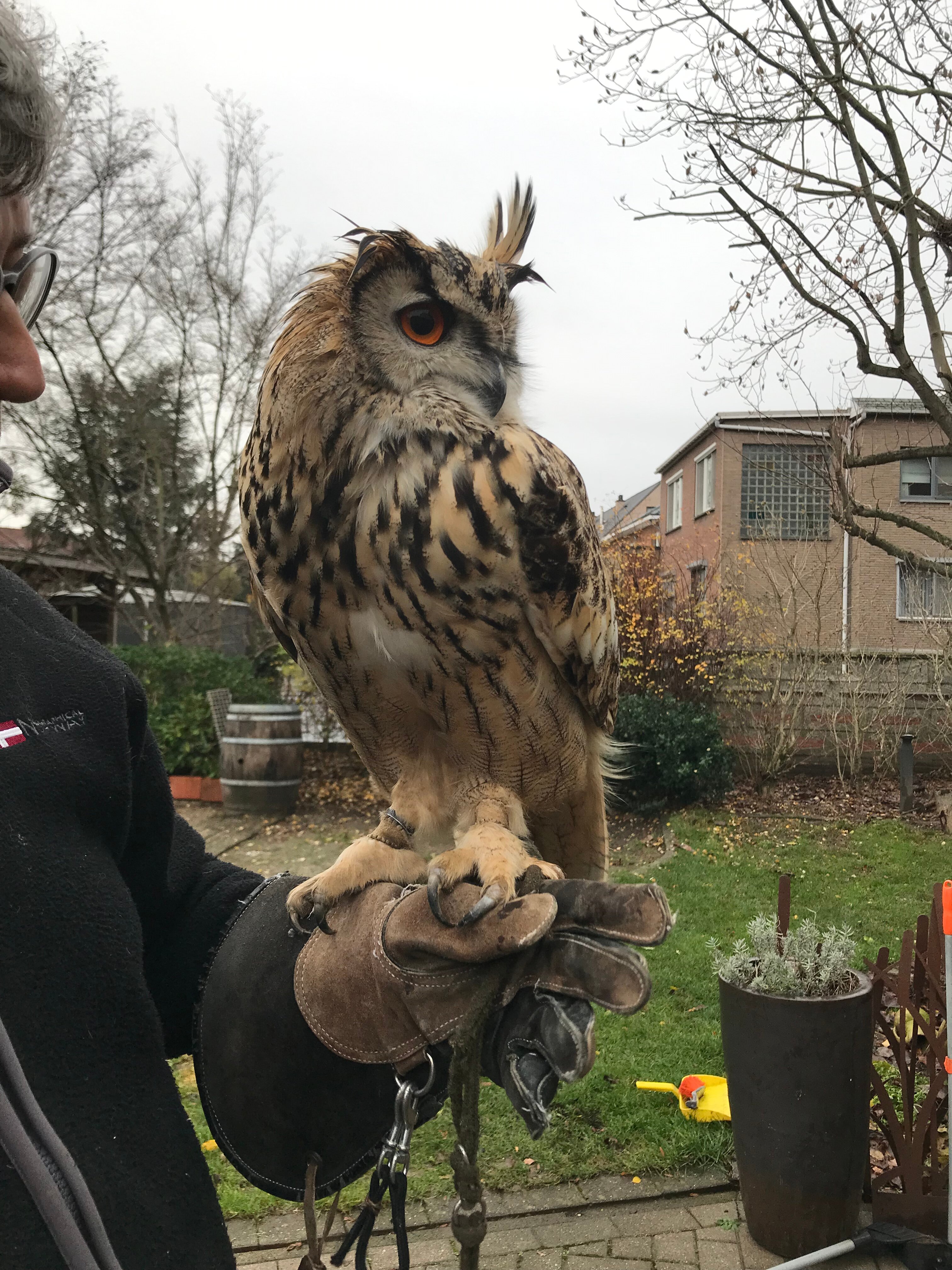 'T SOLVELDJE B&B (Bilzen, België) - Foto's, Reviews En ...