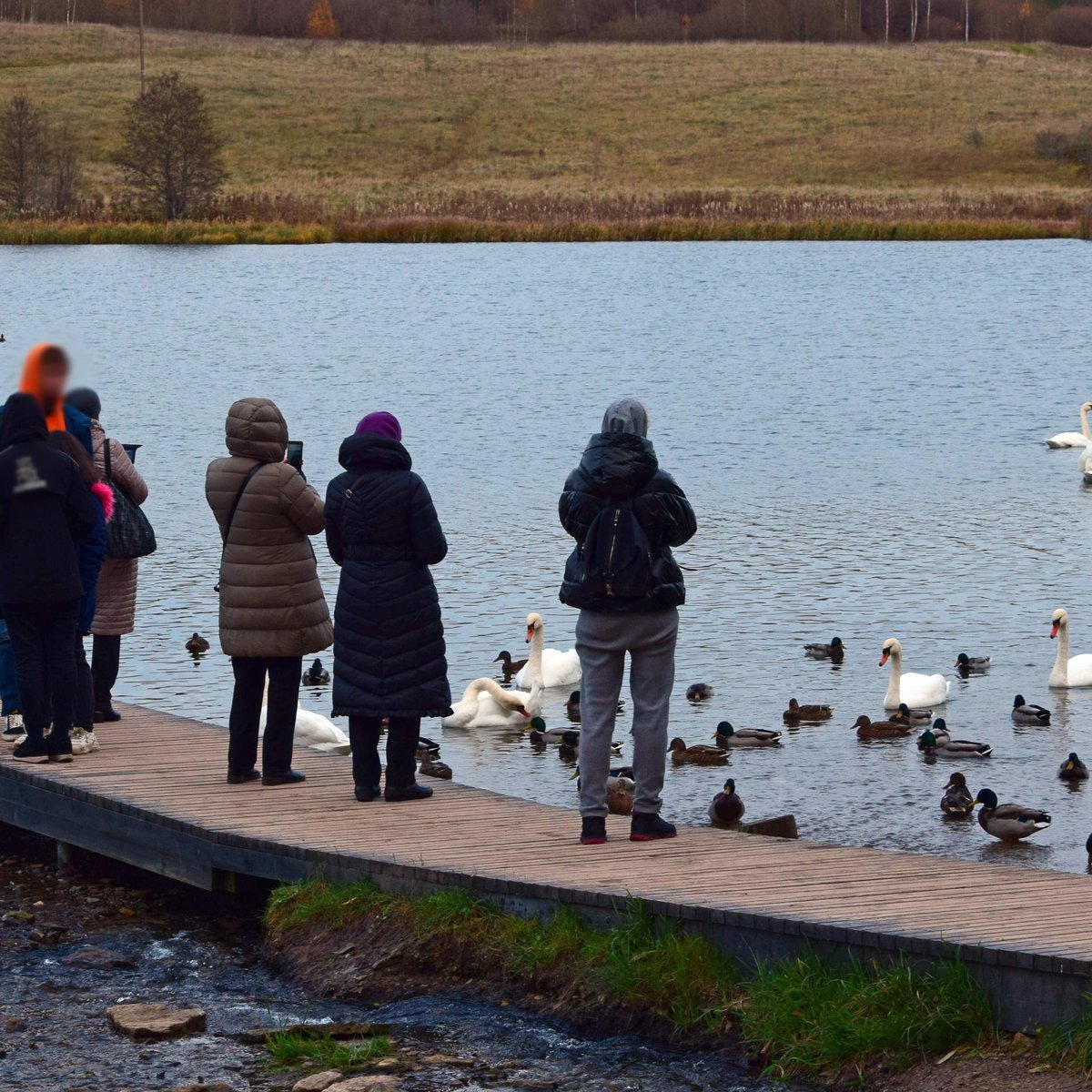 озеро Городищенское, Изборск: лучшие советы перед посещением - Tripadvisor