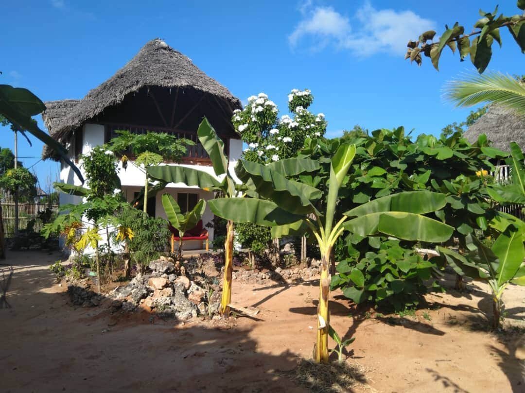 Танзания Занзибар Baraka Beach Bungalows