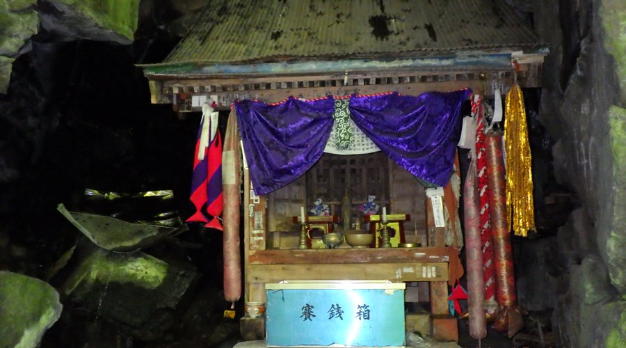 岩の割れ目に