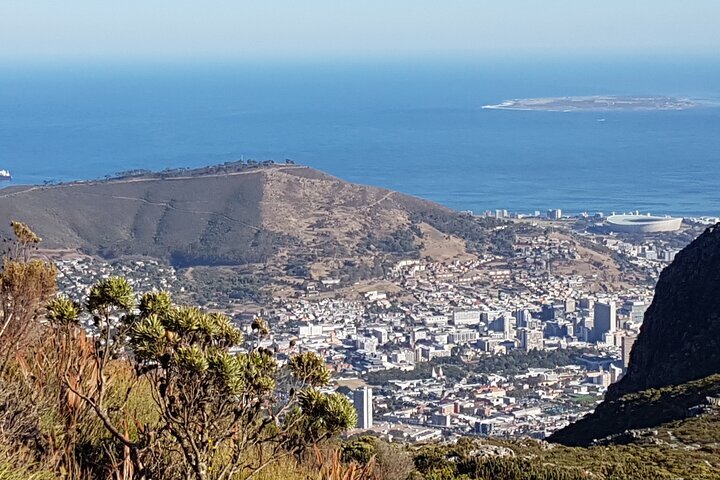 2024 Cape Town Central Half Day Private Hiking Experience In Table   Caption 