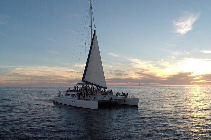 ecocat catamaran tours reviews