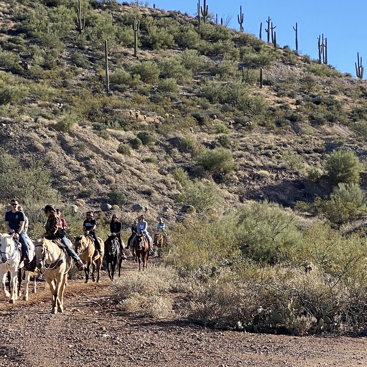 Spur Cross Ranch Conservation Area (Cave Creek) All You Need to Know