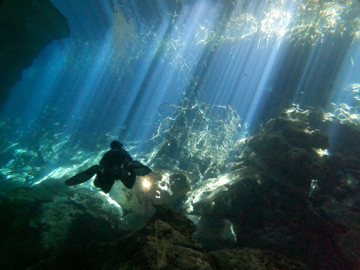 tulum diving