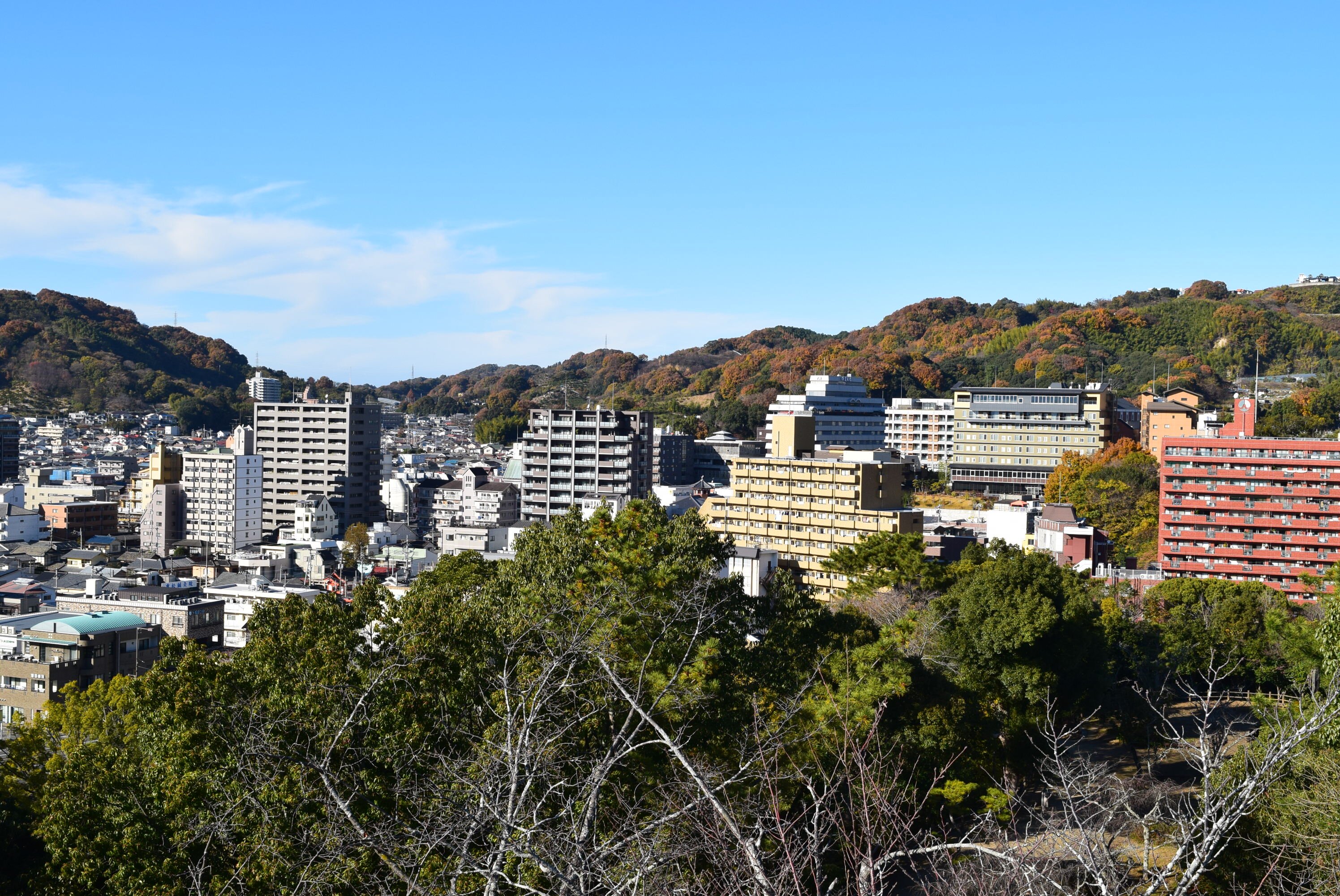 話題の人気 2025年 道後公園展望台 - 出発前に知っておくべきことすべて 絵葉書