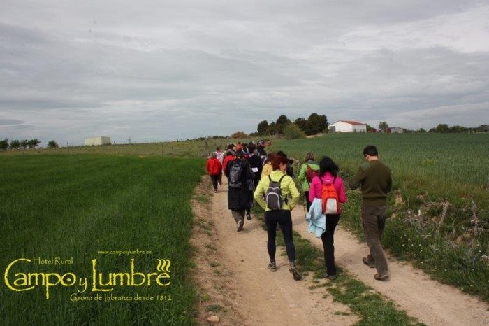 Imagen 9 de Hotel Rural Campo y Lumbre