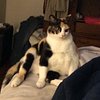 4_the_luv_of_lola