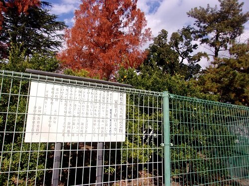 Sumpu Castle Park (2025) - All You Need to Know BEFORE You