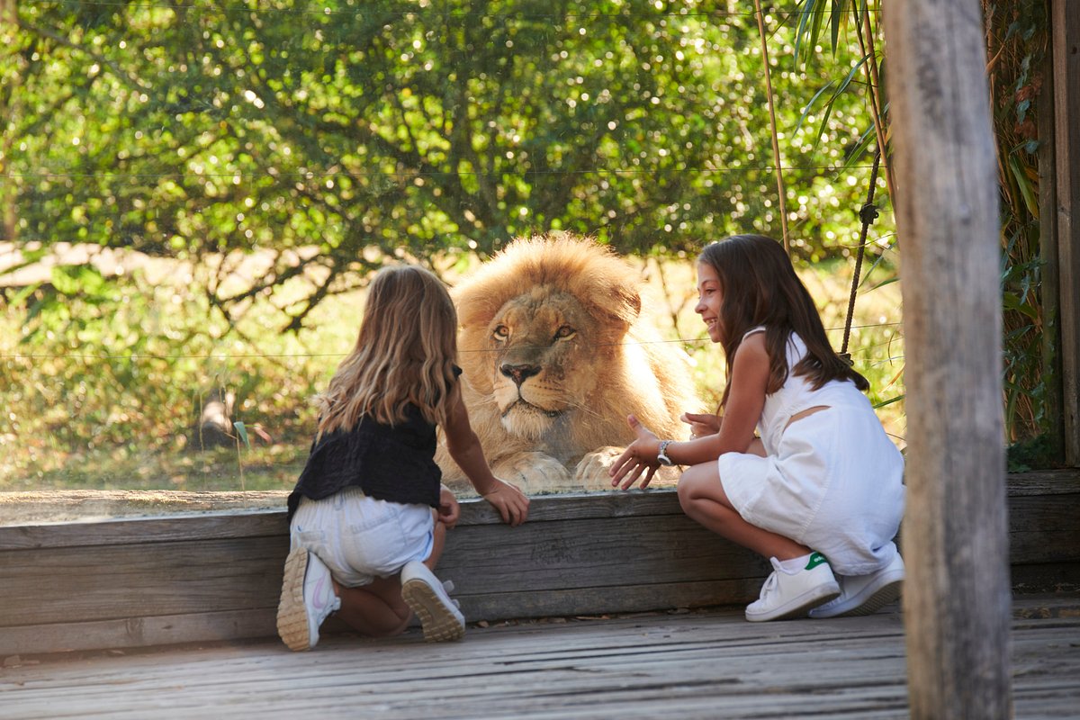 Parc animalier à Bordeaux, Zoo avec Activités pour les enfants