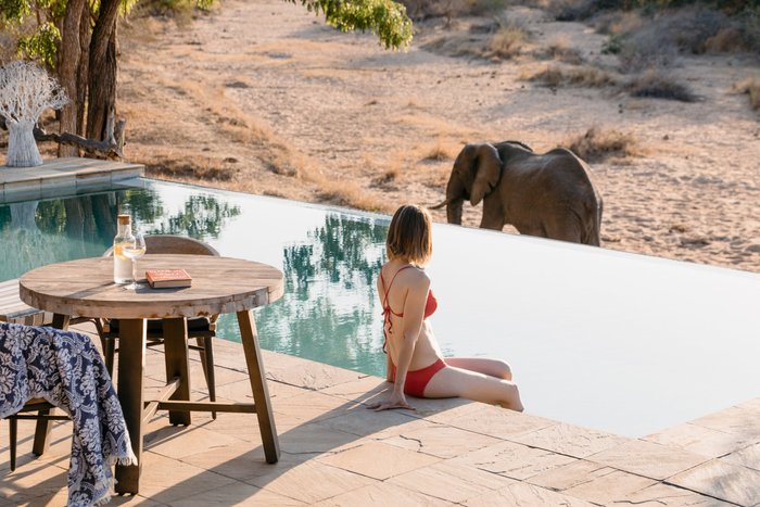 Shumbalala Game Lodge - Thornybush Game Reserve