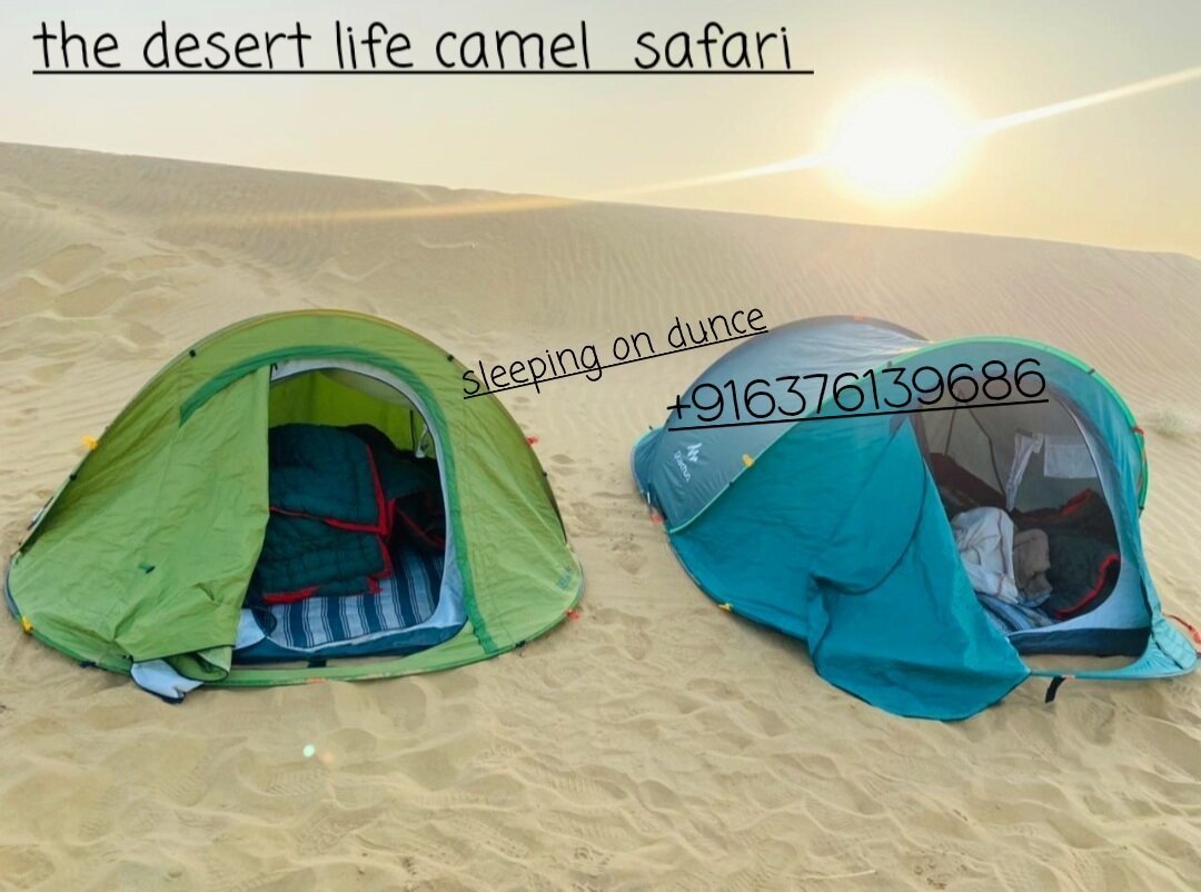 The Desert Life Camel Safari, Джайсалмер: лучшие советы перед посещением -  Tripadvisor