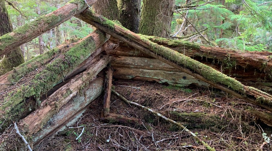 Not much remains of the old Evans Homestead