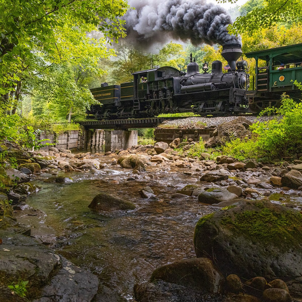 Mountain Rail West Virginia  Scenic Train Rides in West Virginia
