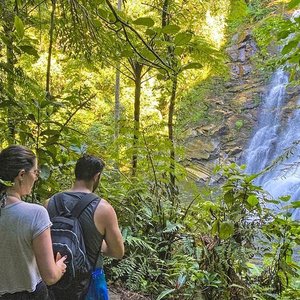 Tripadvisor  Arborismo en el huerto forestal - Campos do Jordão