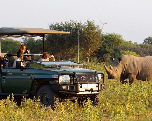 safari near durban