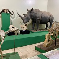 Nairobi National Museum - All You Need to Know BEFORE You Go (2024)