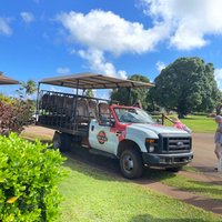 Kauai Safaris - All You Need to Know BEFORE You Go (2024)