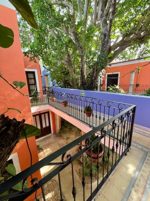 CASA DE LAS FLORES HOTEL $60 ($̶7̶5̶) - Updated 2023 Prices & Reviews -  Oaxaca, Mexico
