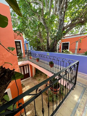 CASA DE LAS FLORES HOTEL $60 ($̶7̶5̶) - Updated 2023 Prices & Reviews - Oaxaca, Mexico CASA DE LAS FLORES HOTEL $60 ($̶7̶5̶) - Updated 2023 Prices & Reviews - Oaxaca, Mexico