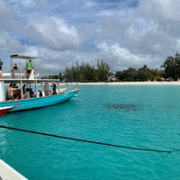 2023 Barbados Catamaran Turtle and Shipwreck Snorkeling Cruise