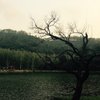 vints_87