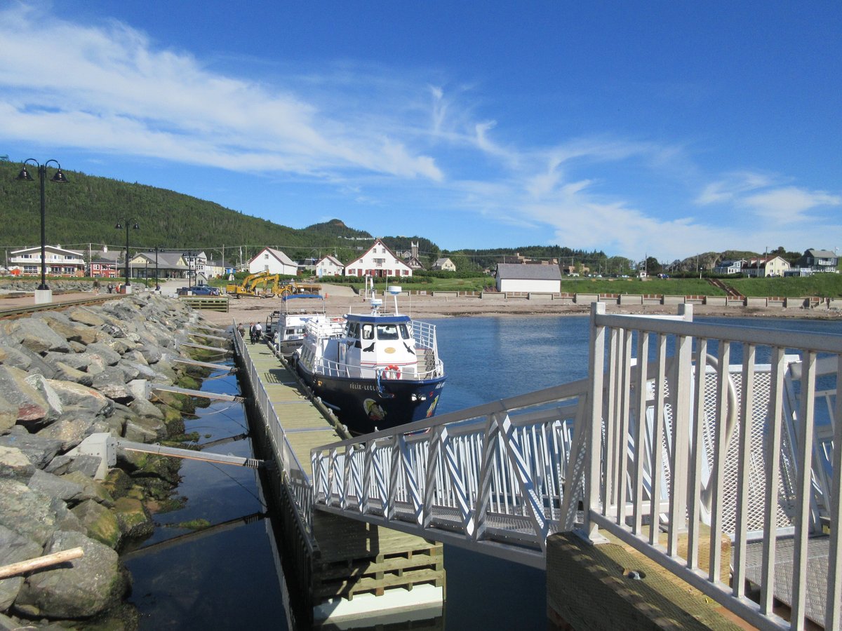 Whale Cruises on the Julien Cloutier Enr. (Perce) - All You Need to ...