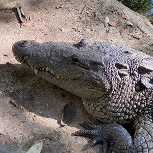 Cenotes Kin-Ha (Puerto Morelos) - All You Need to Know BEFORE You Go