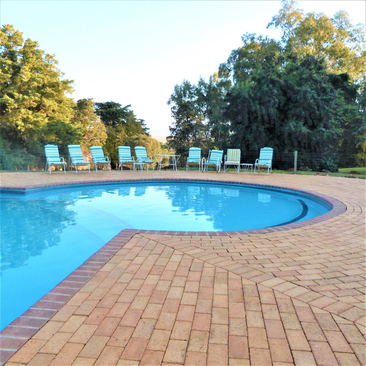 Sandford Park Country Hotel Pool: Pictures & Reviews - Tripadvisor