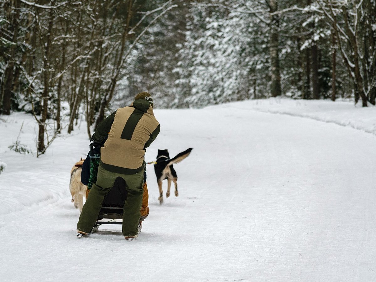 latvia pet travel