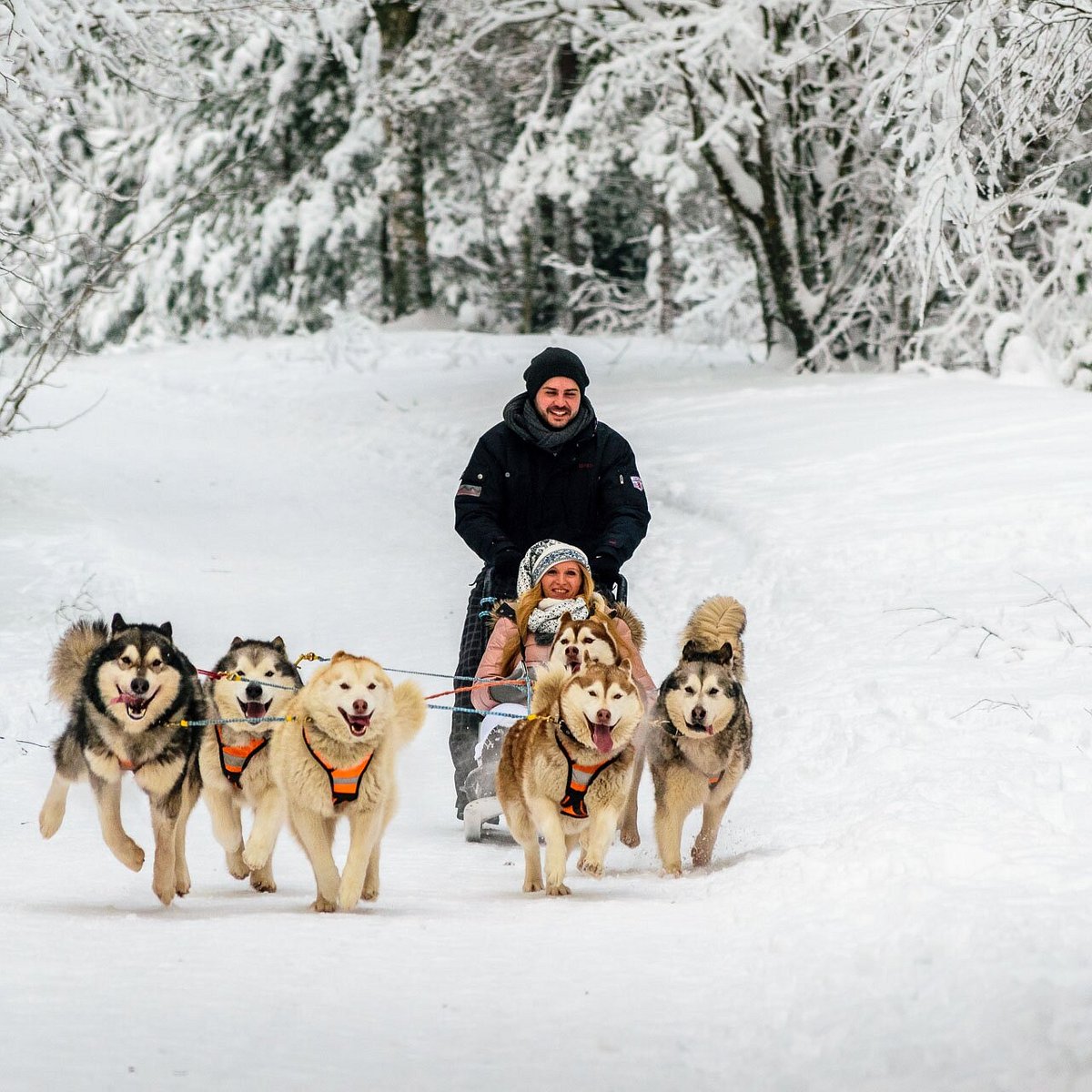 latvia pet travel