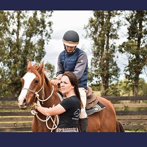 Horse Training and Riding
