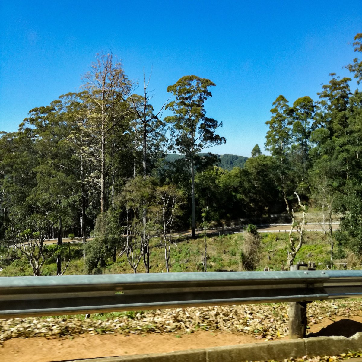 MAGOEBASKLOOF PASS (Tzaneen): Ce qu'il faut savoir