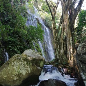 Conectando con la naturaleza en una caminata entre bosque, río y cascadas, unas vistas impresionantes envueltos con el sonido de la naturaleza 🌄❤️👣🇸🇻🚵‍♂️🏕️✝️