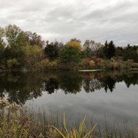 MILNE DAM CONSERVATION PARK (Markham) - All You Need to Know BEFORE You ...