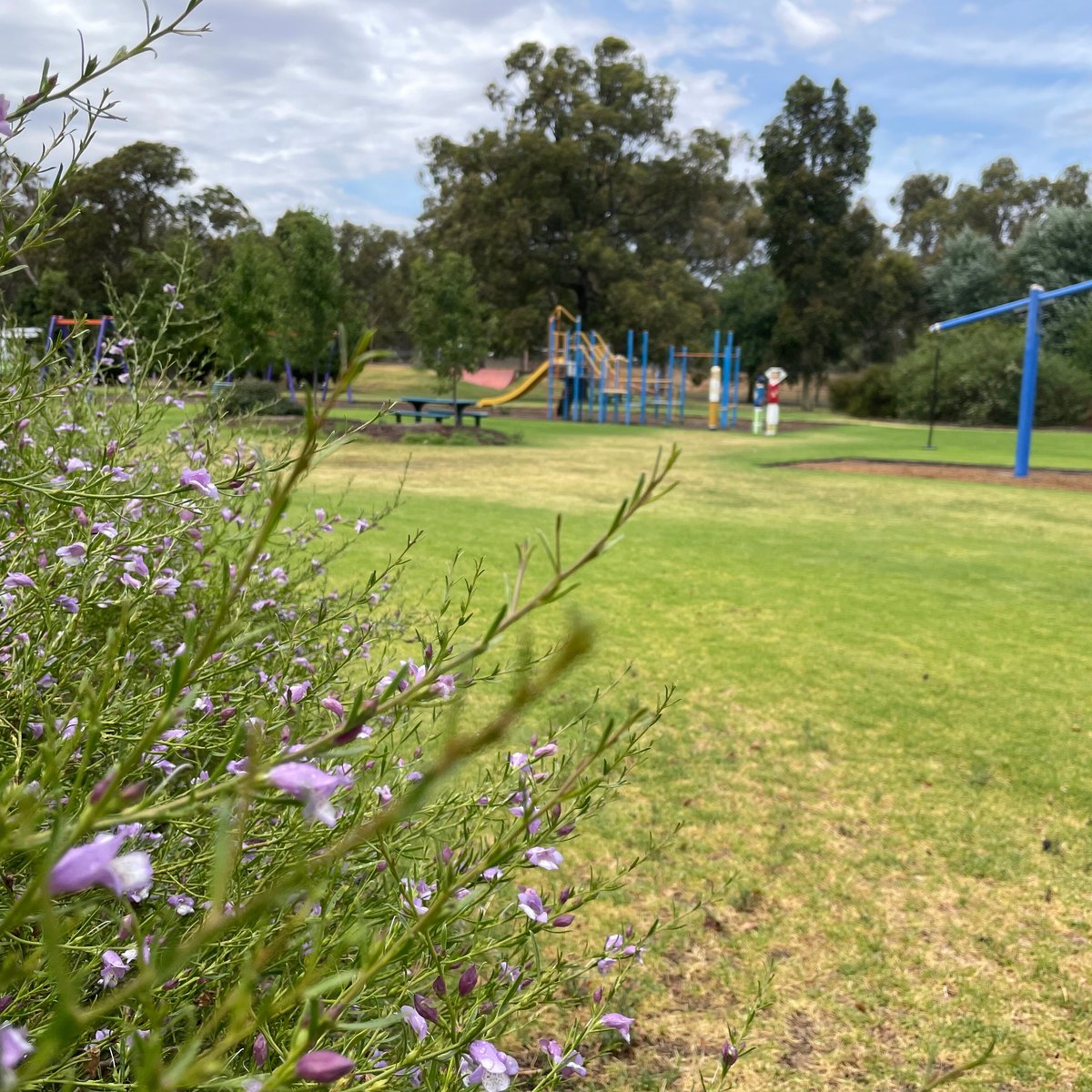 Gordon Park Playground (Charlton) - Alles wat u moet weten VOORDAT je ...