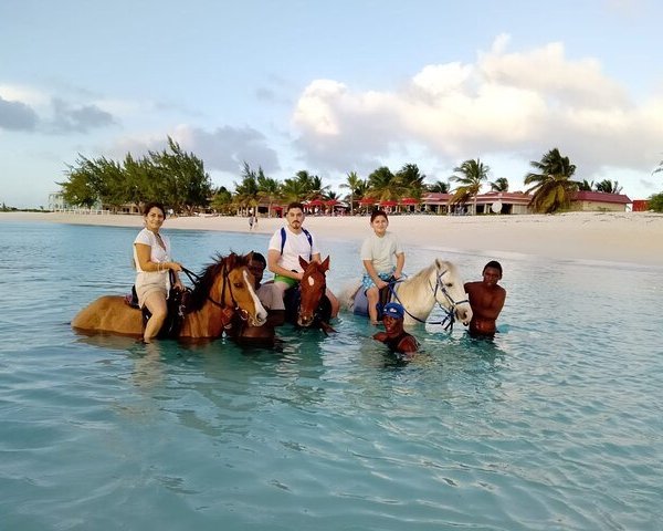 Noah’s Ark Beach Club TCI (Turks and Caicos, Caribbean): Address ...