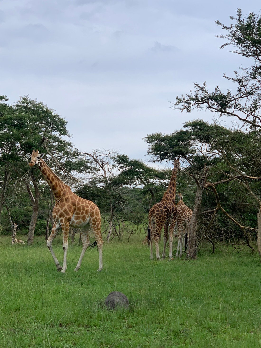 MIHINGO LODGE - Updated 2024 Reviews (Lake Mburo National Park, Uganda)