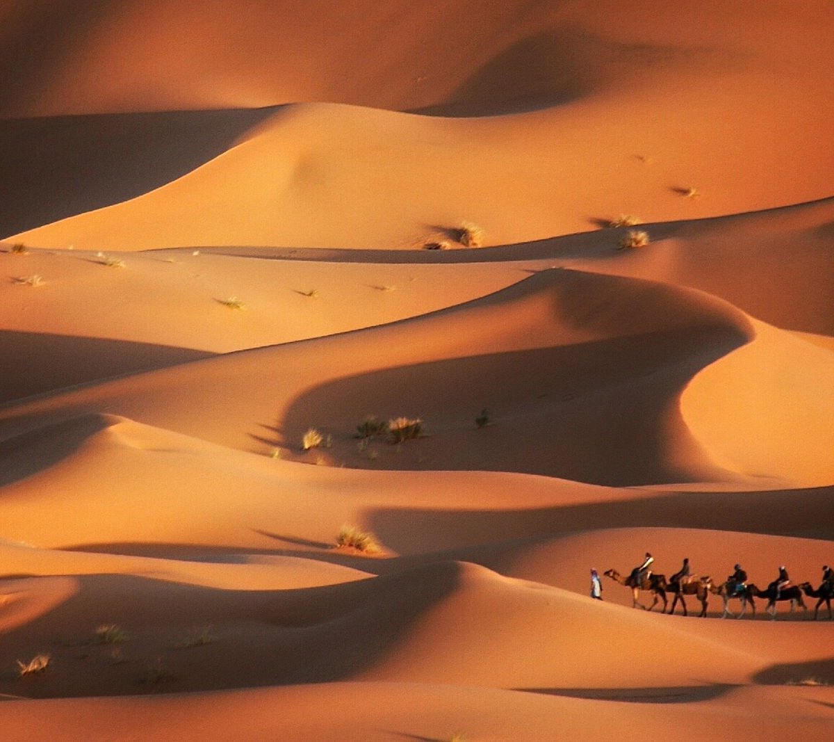 CHARAF VOYAGES (Marrakech): 2022 - tutto quello che c'è da sapere