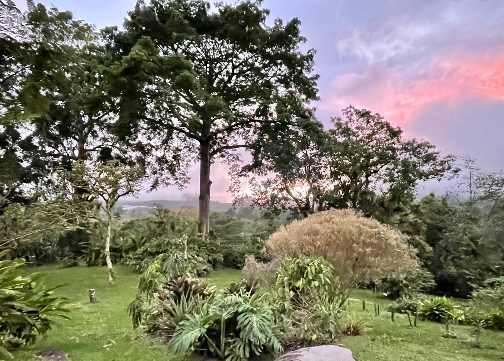 AQUIARES COFFEE FARM CASA HACIENDA LA ESPERANZA (AU$285): 2022 Prices ...