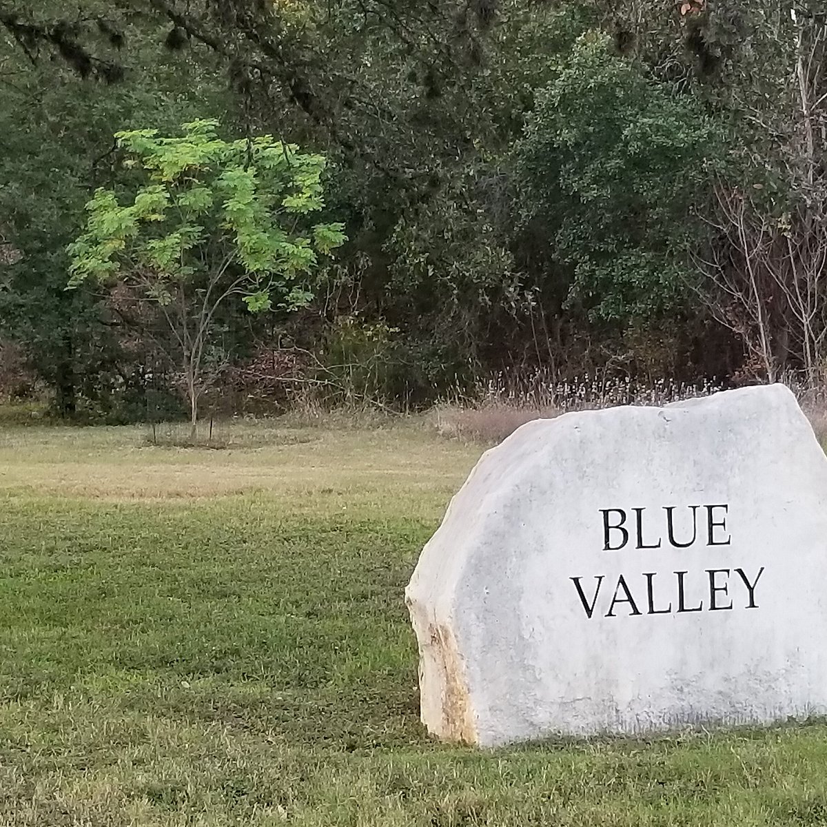 blue valley parkway