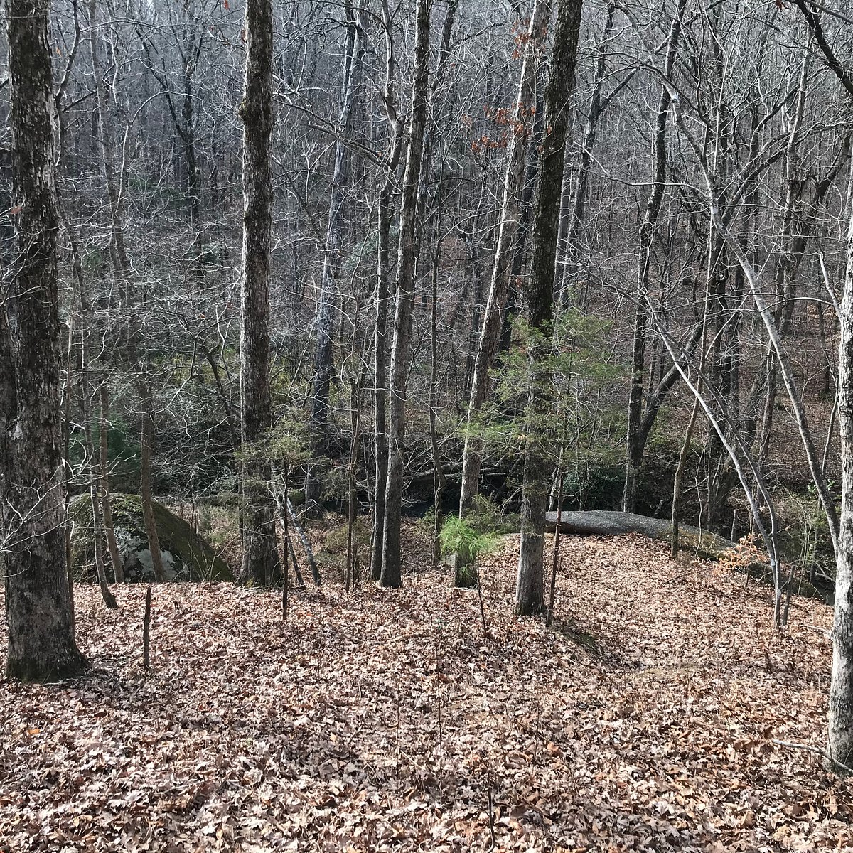 Battle of Hanging Rock Historic Site (Heath Springs) Tripadvisor