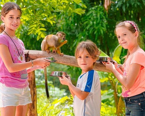 monkey safari dominican republic