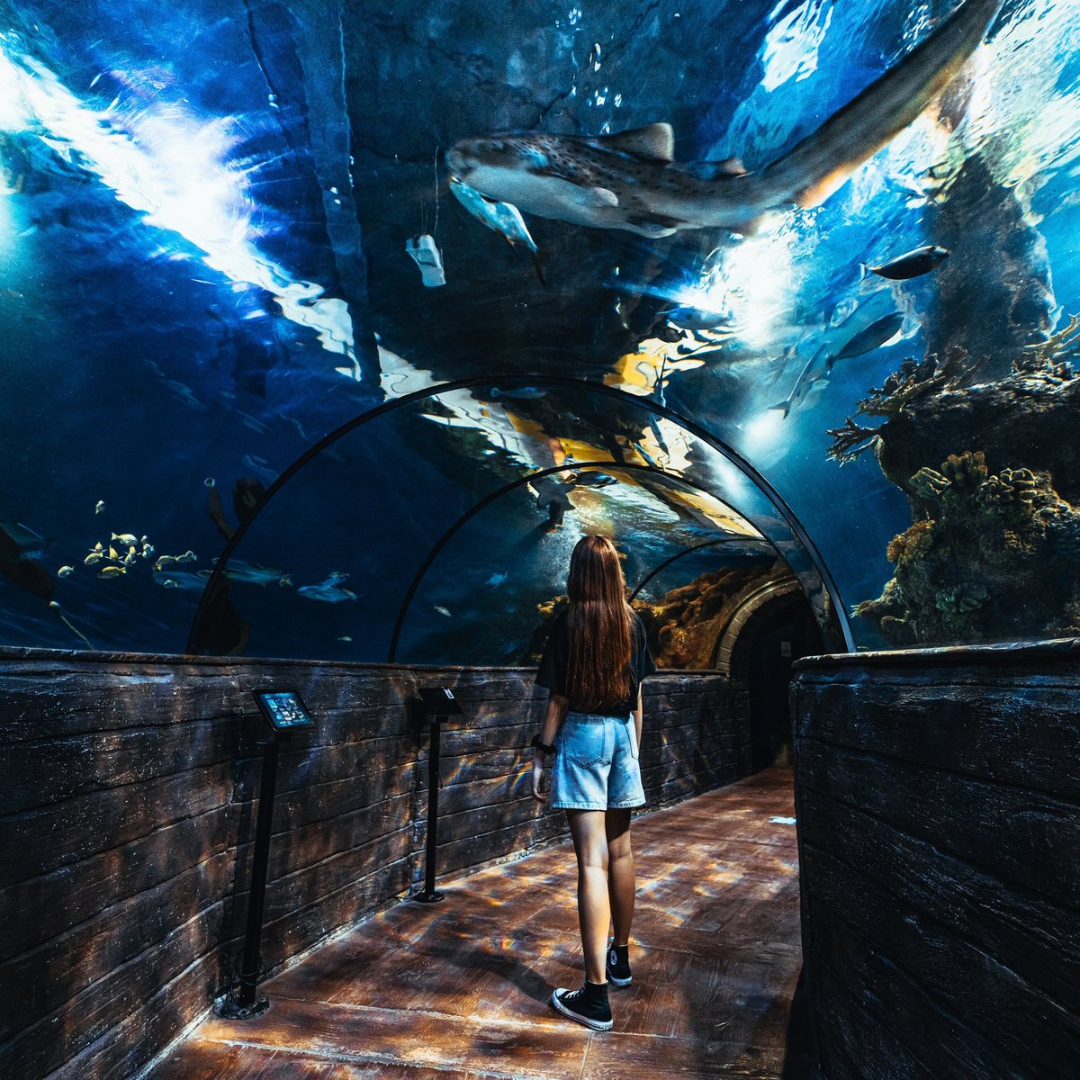 Malta National Aquarium, Аура: лучшие советы перед посещением - Tripadvisor